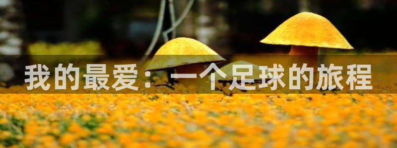 公海赌赌船官网下载招商电话号码查询是多少:我的最爱:一个足球