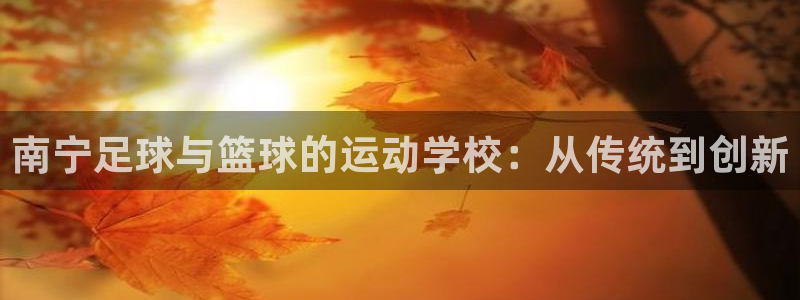 公海赌赌船官网下载平台注册:南宁足球与篮球的运动学校:从传统