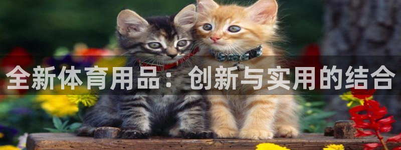 公海赌赌船官网下载平台注册流程图:全新体育用品:创新与实用的